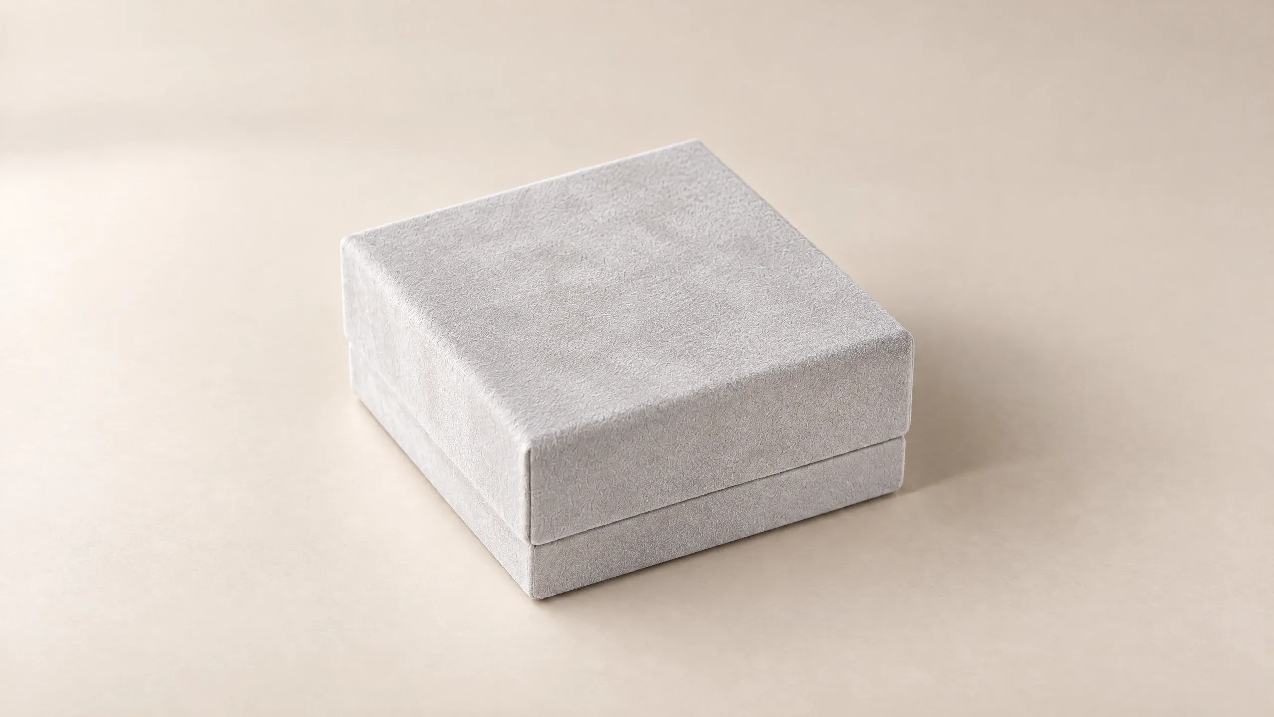 Geschlossenes Etui in Grau